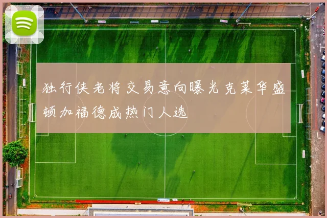 独行侠老将交易意向曝光克莱华盛顿加福德成热门人选