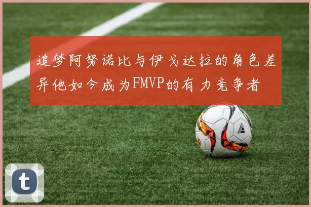 追梦阿努诺比与伊戈达拉的角色差异他如今成为FMVP的有力竞争者