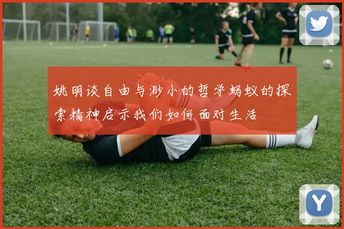 姚明谈自由与渺小的哲学蚂蚁的探索精神启示我们如何面对生活